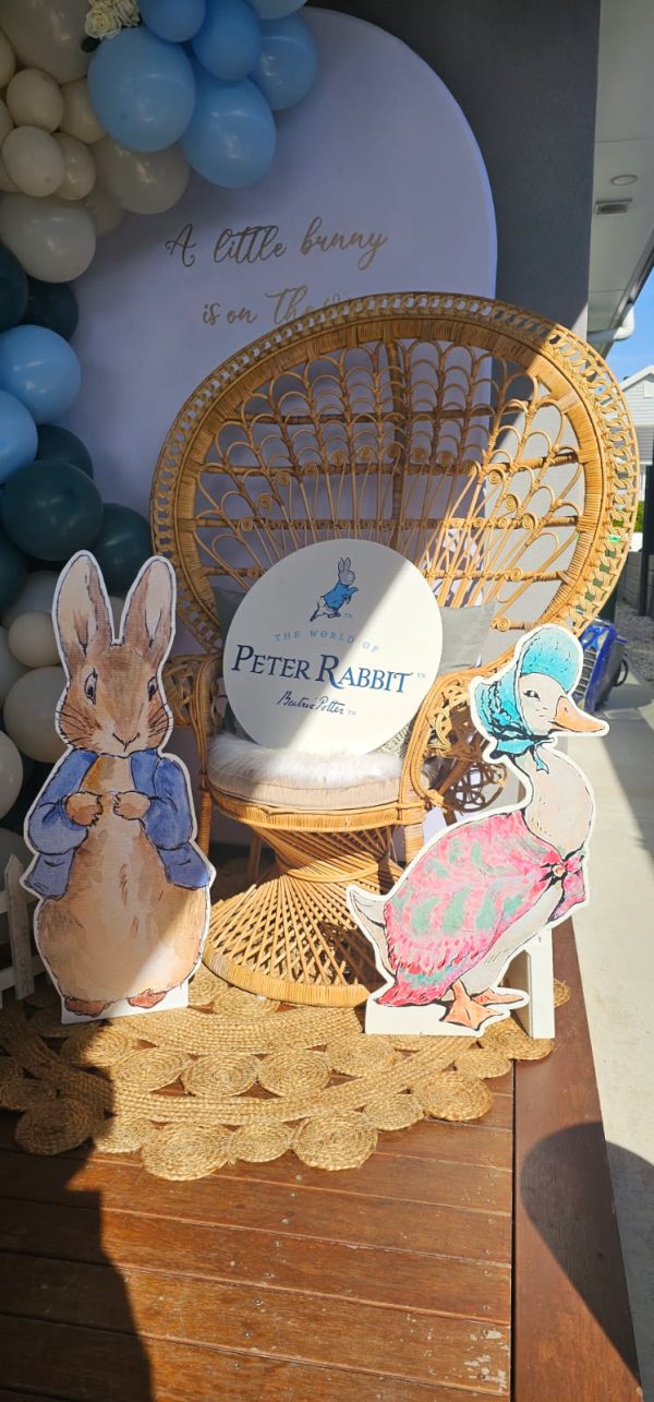Peter rabbit birthday party hire Brisbane virginia pick up collect kids baby shower