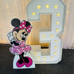 MINNIE MOUSE PINK Corflute Cutout