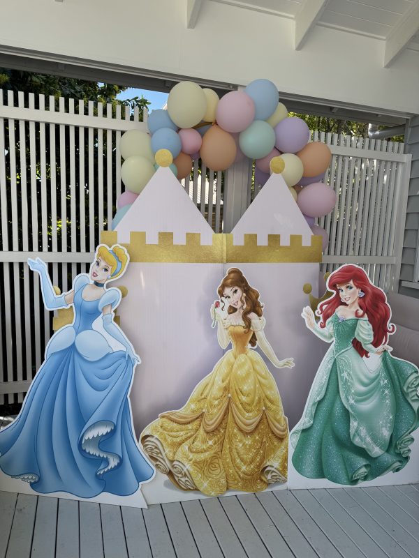 9 piece bundle offer - Disney Princesses & Castle - Image 8