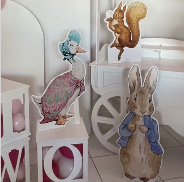 Peter rabbit birthday party hire Brisbane virginia pick up collect kids baby shower