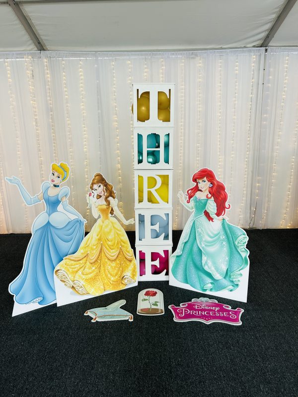Disney Princess Party Hire Brisbane