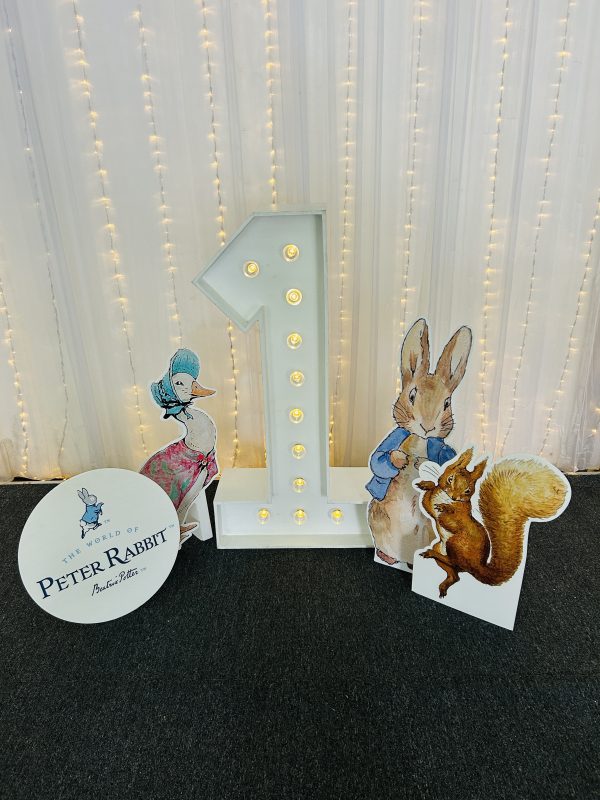 First birthday Peter rabbit Brisbane