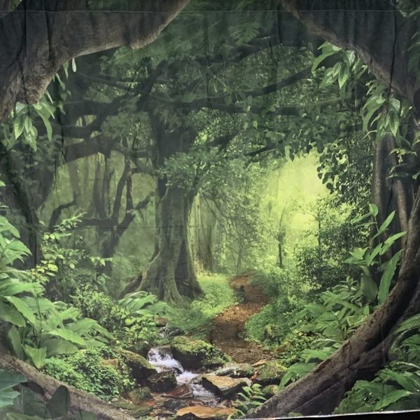 Fabric Backdrop - Many Styles - Image 2