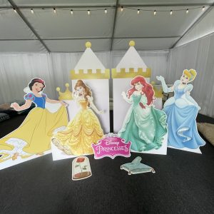 9 piece bundle offer - Disney Princesses & Castle