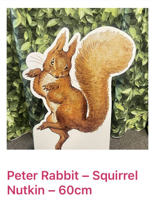 PETER RABBIT Corflute Cutouts BUNDLE - Image 4