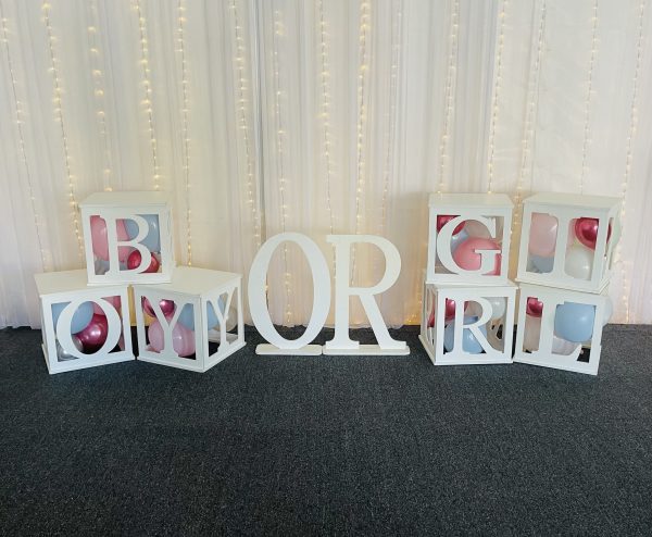 Baby BLOCKS Girl OR Boy ? Includes balloons - Image 3