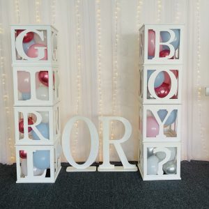 Baby BLOCKS Girl OR Boy ? Includes balloons