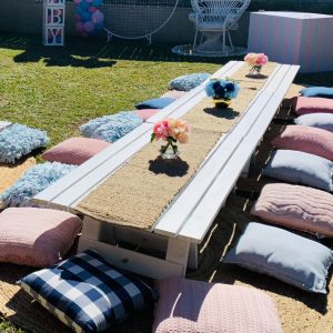 Picnic Setup – Seats 20