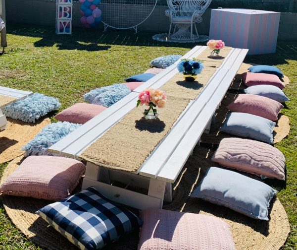 Picnic Setup – Seats 20