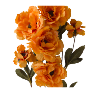 Flower Hire Brisbane